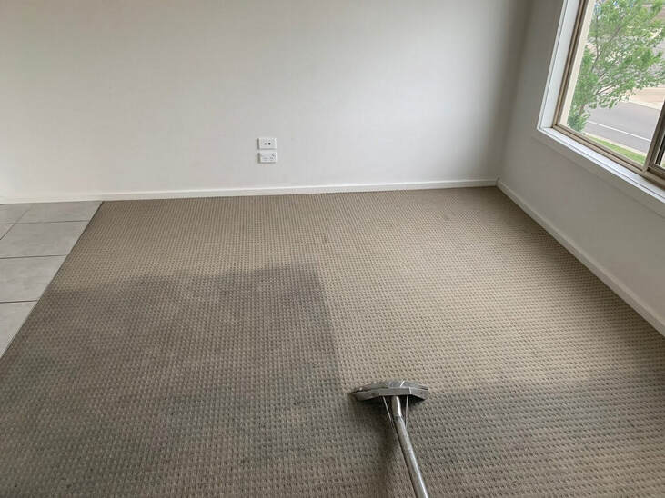 home carpet cleaning chandler